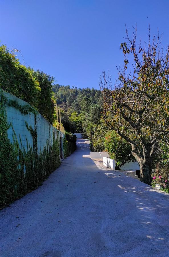 Pera Da Serra - Turismo No Espaco Rural ロウザン エクステリア 写真